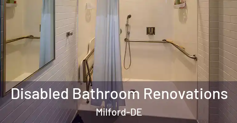 inner Bathroom imggen Disabled Bathroom Renovations Milford-DE