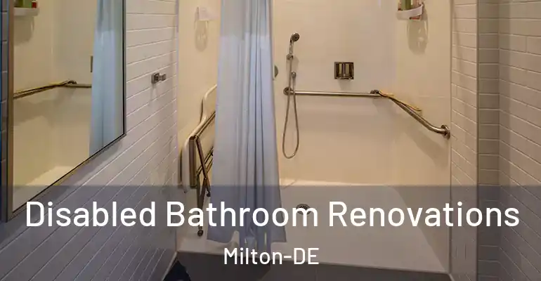 inner Bathroom imggen Disabled Bathroom Renovations Milton-DE