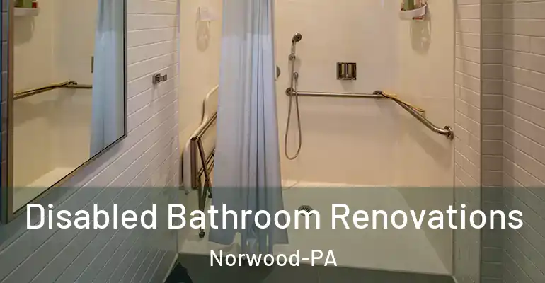inner Bathroom imggen Disabled Bathroom Renovations Norwood-PA