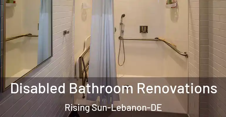 inner Bathroom imggen Disabled Bathroom Renovations Rising Sun-Lebanon-DE