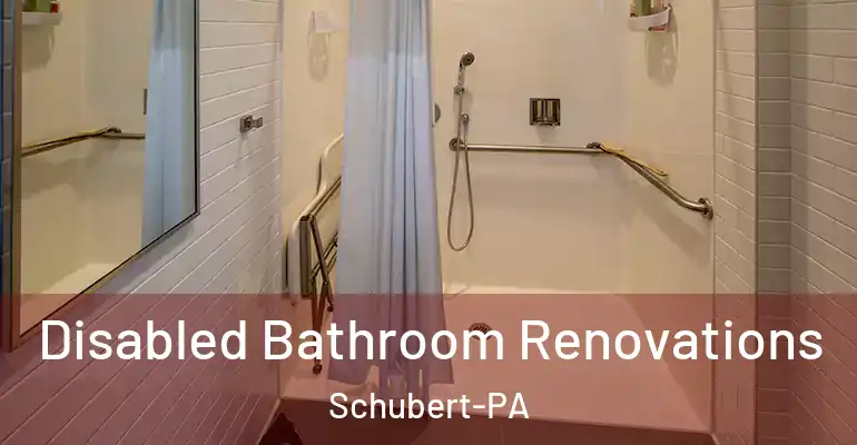 inner Bathroom imggen Disabled Bathroom Renovations Schubert-PA