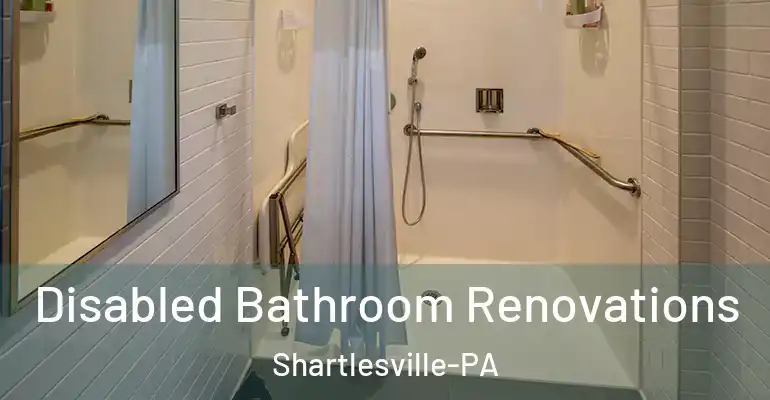 inner Bathroom imggen Disabled Bathroom Renovations Shartlesville-PA
