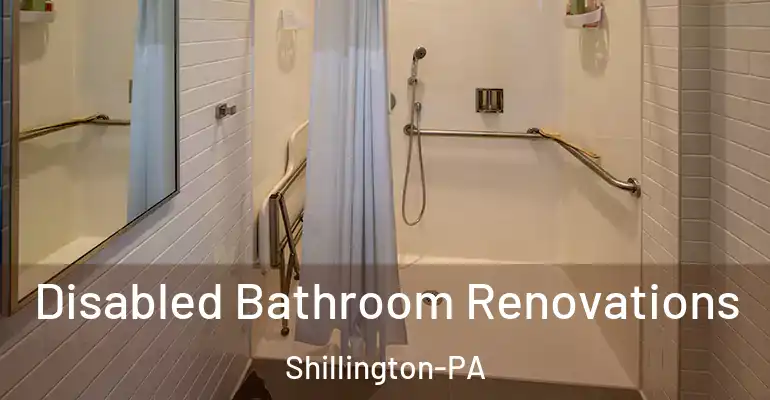 inner Bathroom imggen Disabled Bathroom Renovations Shillington-PA