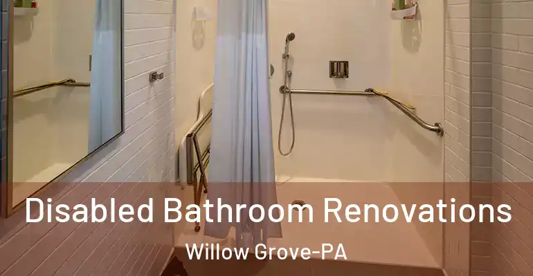inner Bathroom imggen Disabled Bathroom Renovations Willow Grove-PA