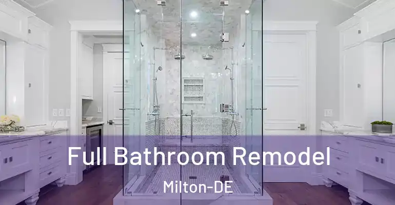 inner Bathroom imggen Full Bathroom Remodel Milton-DE