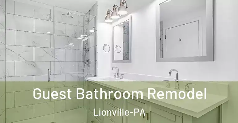 inner Bathroom imggen Guest Bathroom Remodel Lionville-PA