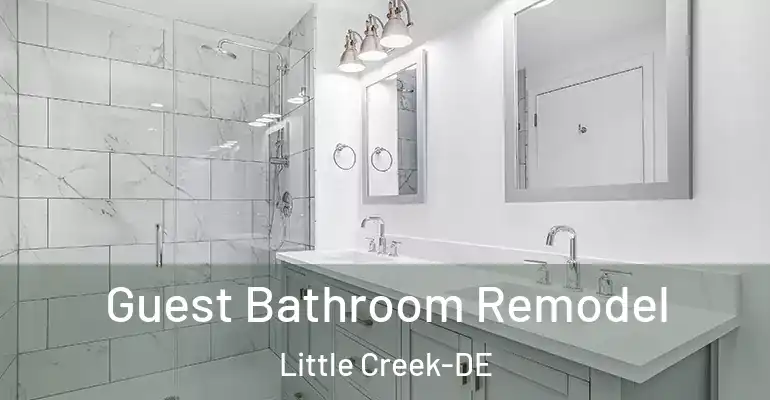 inner Bathroom imggen Guest Bathroom Remodel Little Creek-DE