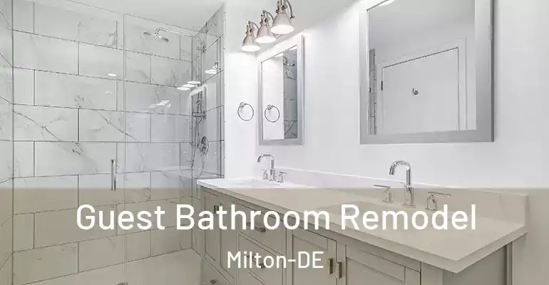 inner Bathroom imggen Guest Bathroom Remodel Milton-DE