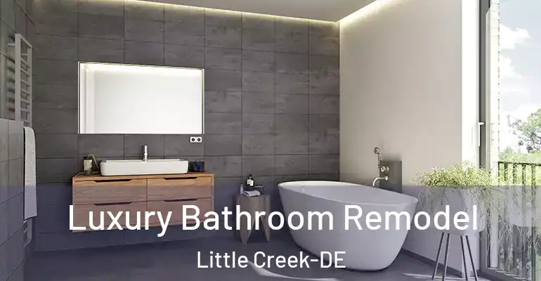 inner Bathroom imggen Luxury Bathroom Remodel Little Creek-DE