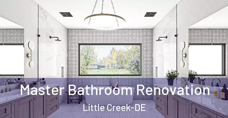 inner Bathroom imggen Master Bathroom Renovation Little Creek-DE