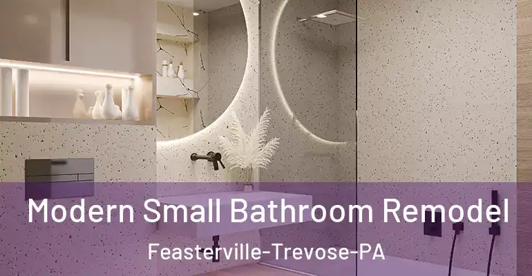 inner Bathroom imggen Modern Small Bathroom Remodel Feasterville-Trevose-PA
