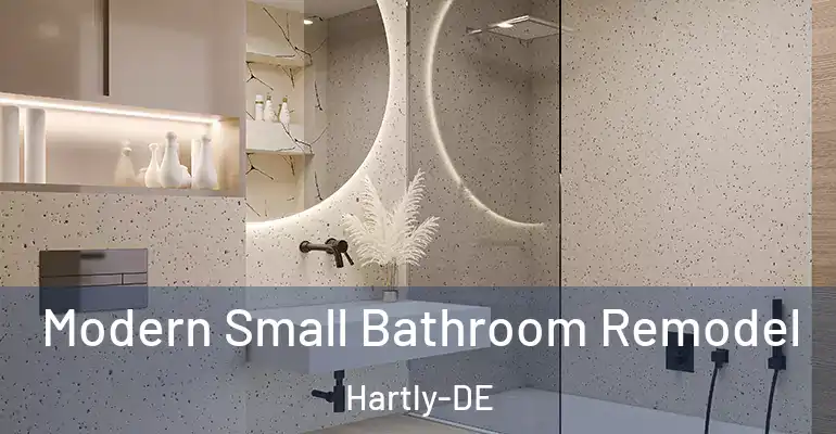 inner Bathroom imggen Modern Small Bathroom Remodel Hartly-DE