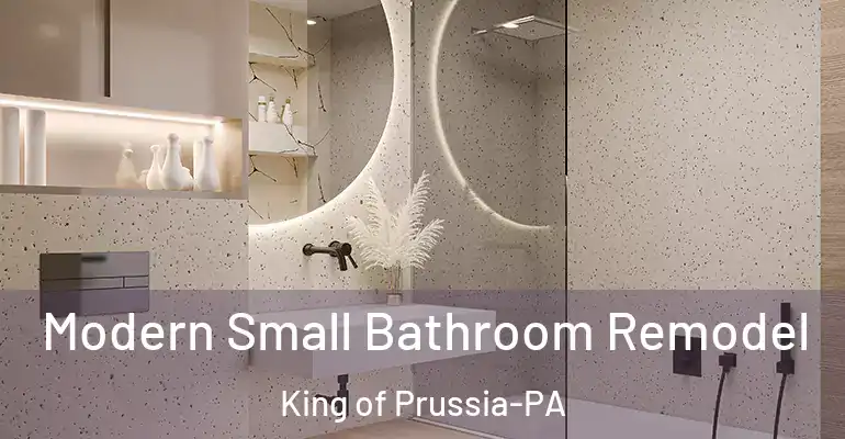 inner Bathroom imggen Modern Small Bathroom Remodel King of Prussia-PA