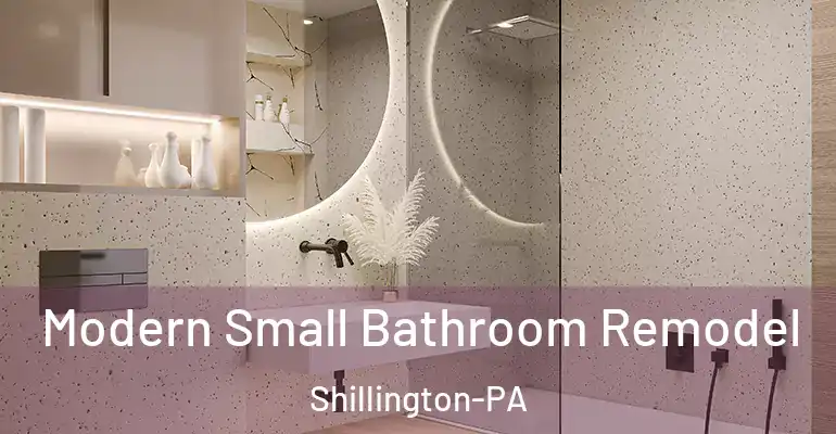 inner Bathroom imggen Modern Small Bathroom Remodel Shillington-PA