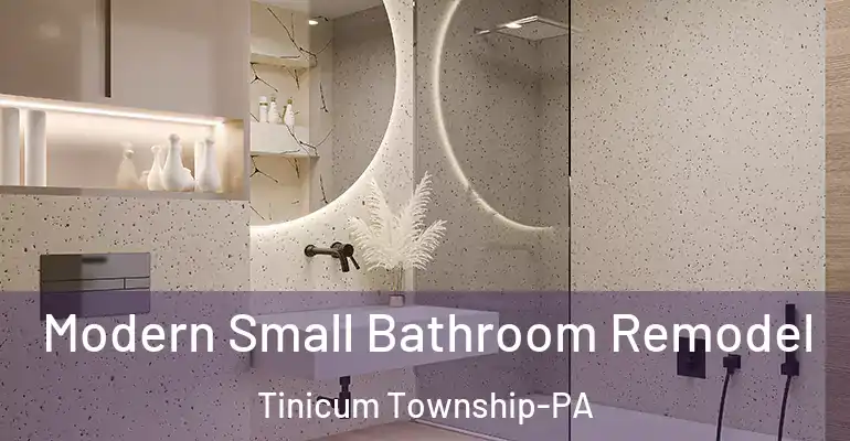 inner Bathroom imggen Modern Small Bathroom Remodel Tinicum Township-PA