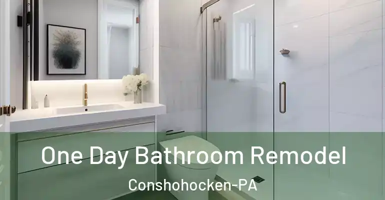 inner Bathroom imggen One Day Bathroom Remodel Conshohocken-PA