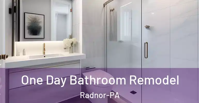 inner Bathroom imggen One Day Bathroom Remodel Radnor-PA