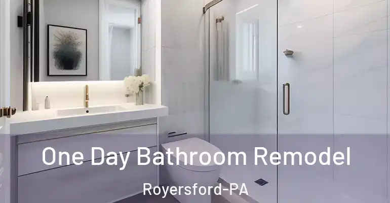 inner Bathroom imggen One Day Bathroom Remodel Royersford-PA