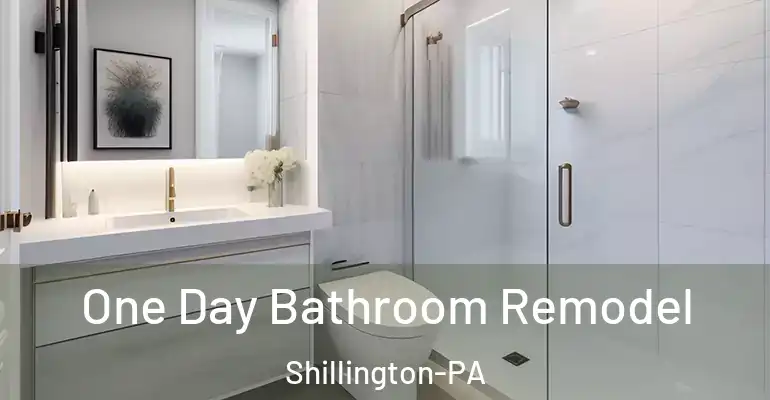 inner Bathroom imggen One Day Bathroom Remodel Shillington-PA