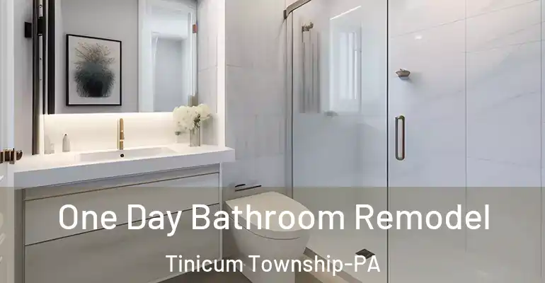 inner Bathroom imggen One Day Bathroom Remodel Tinicum Township-PA