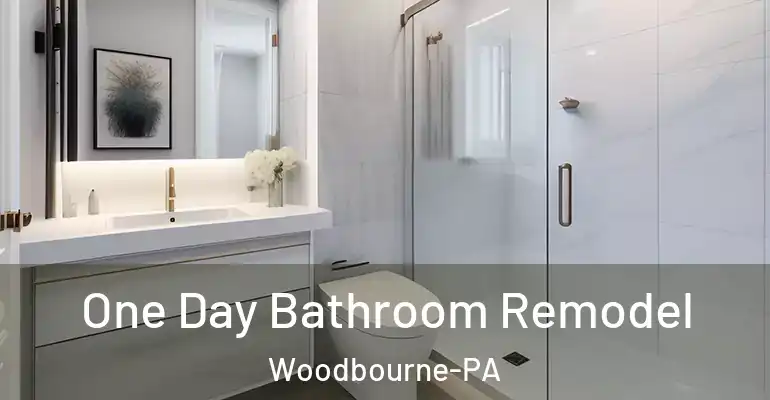 inner Bathroom imggen One Day Bathroom Remodel Woodbourne-PA