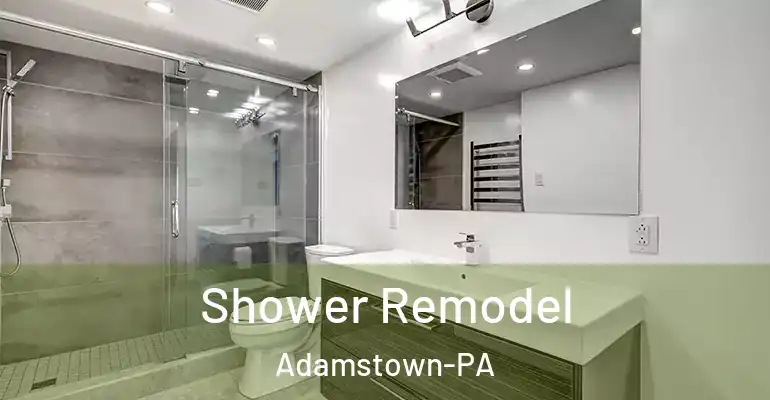 inner Bathroom imggen Shower Remodel Adamstown-PA