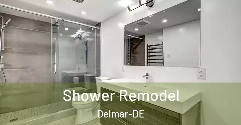 inner Bathroom imggen Shower Remodel Delmar-DE