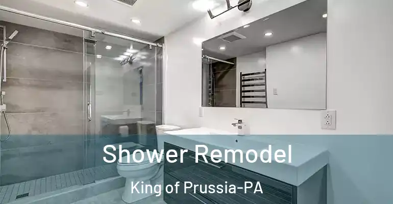 inner Bathroom imggen Shower Remodel King of Prussia-PA