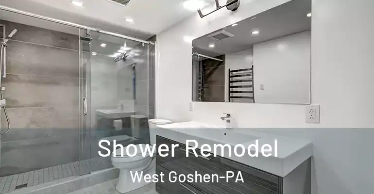 inner Bathroom imggen Shower Remodel West Goshen-PA