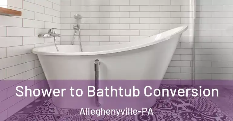inner Bathroom imggen Shower to Bathtub Conversion Alleghenyville-PA