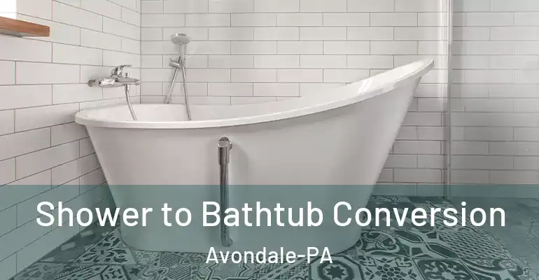 inner Bathroom imggen Shower to Bathtub Conversion Avondale-PA