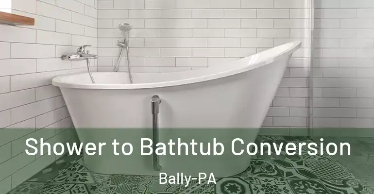 inner Bathroom imggen Shower to Bathtub Conversion Bally-PA