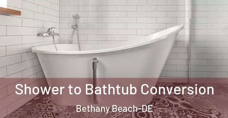 inner Bathroom imggen Shower to Bathtub Conversion Bethany Beach-DE