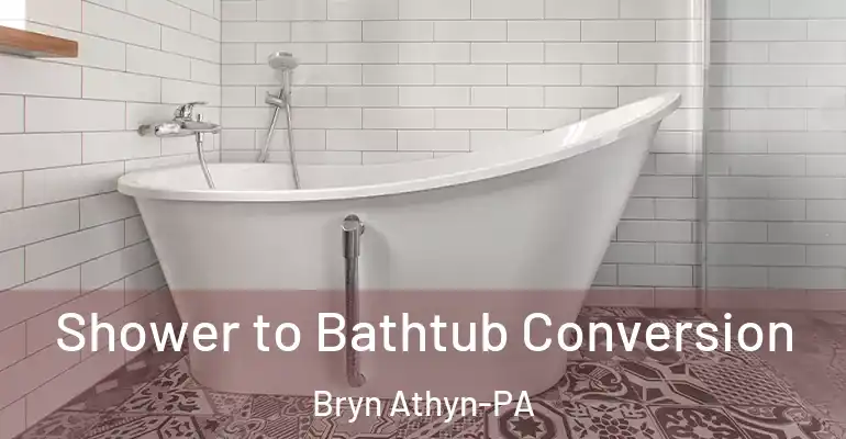 inner Bathroom imggen Shower to Bathtub Conversion Bryn Athyn-PA