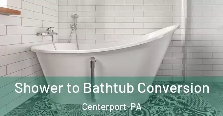 inner Bathroom imggen Shower to Bathtub Conversion Centerport-PA
