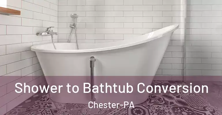 inner Bathroom imggen Shower to Bathtub Conversion Chester-PA