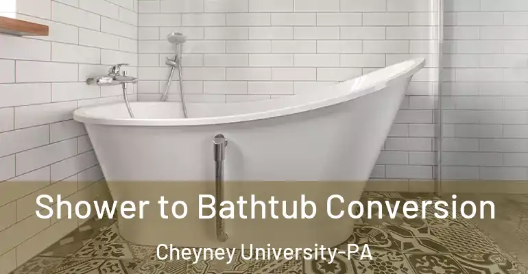 inner Bathroom imggen Shower to Bathtub Conversion Cheyney University-PA
