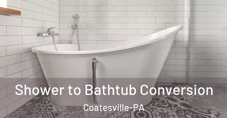 inner Bathroom imggen Shower to Bathtub Conversion Coatesville-PA