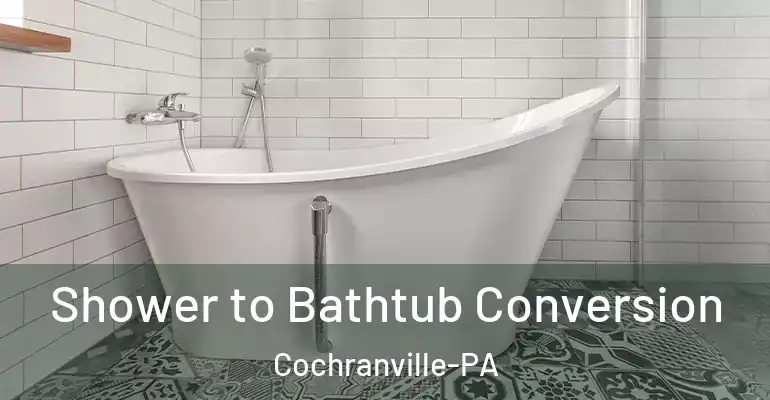 inner Bathroom imggen Shower to Bathtub Conversion Cochranville-PA