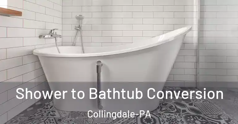 inner Bathroom imggen Shower to Bathtub Conversion Collingdale-PA