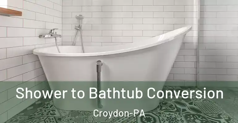 inner Bathroom imggen Shower to Bathtub Conversion Croydon-PA