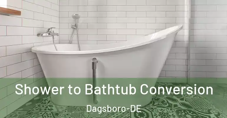 inner Bathroom imggen Shower to Bathtub Conversion Dagsboro-DE