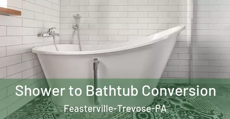 inner Bathroom imggen Shower to Bathtub Conversion Feasterville-Trevose-PA