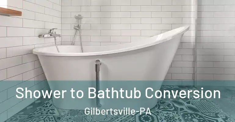 inner Bathroom imggen Shower to Bathtub Conversion Gilbertsville-PA