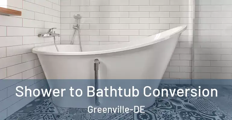 inner Bathroom imggen Shower to Bathtub Conversion Greenville-DE