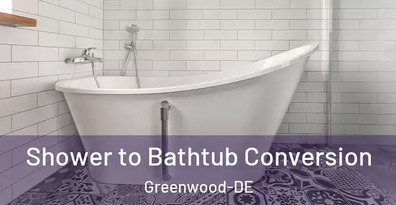 inner Bathroom imggen Shower to Bathtub Conversion Greenwood-DE
