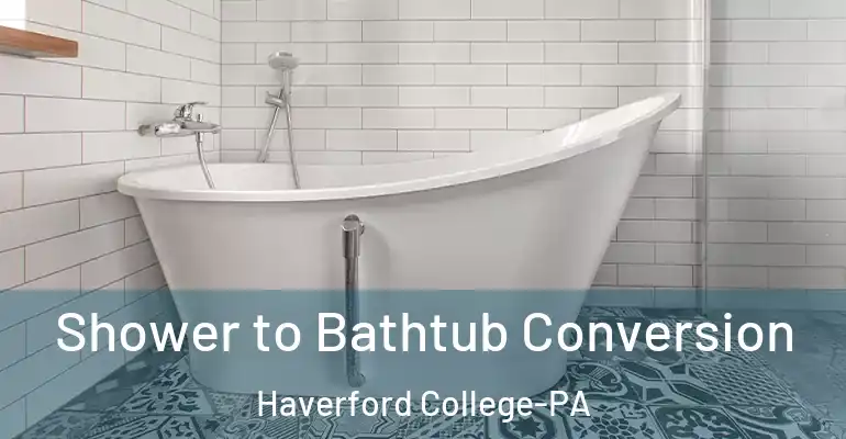 inner Bathroom imggen Shower to Bathtub Conversion Haverford College-PA