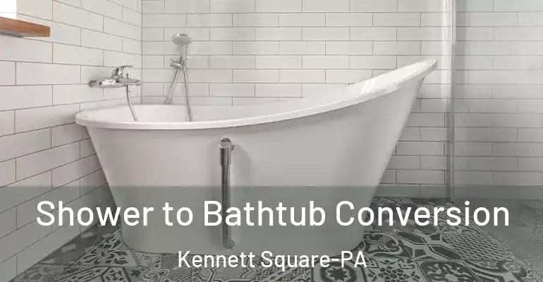 inner Bathroom imggen Shower to Bathtub Conversion Kennett Square-PA