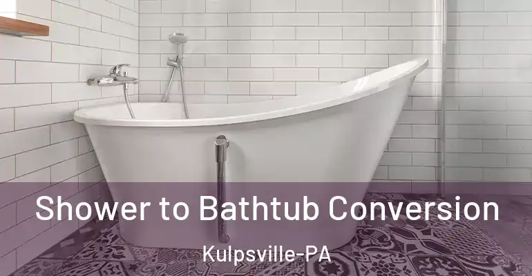 inner Bathroom imggen Shower to Bathtub Conversion Kulpsville-PA