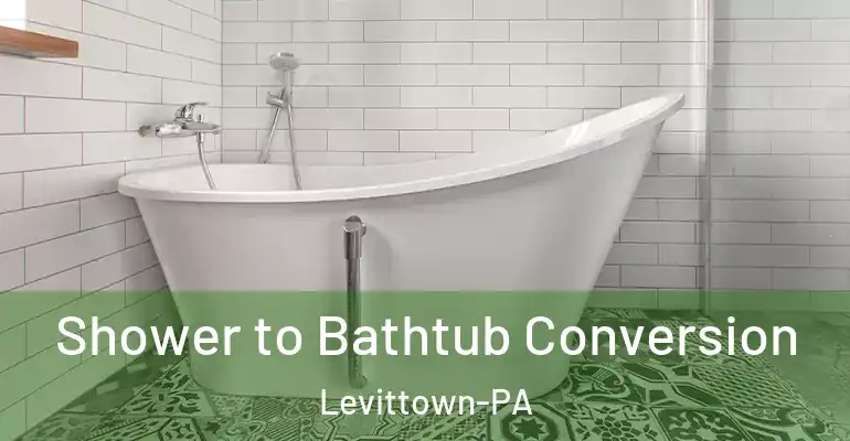 inner Bathroom imggen Shower to Bathtub Conversion Levittown-PA